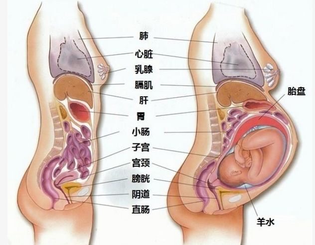 最新资讯 第237页
