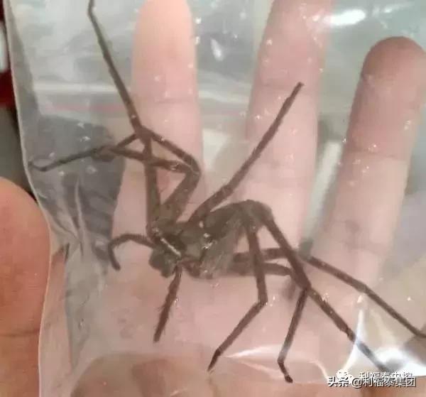 第1385页