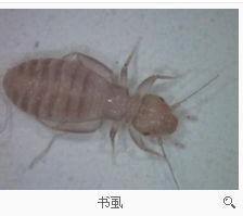 游戏专题 第230页