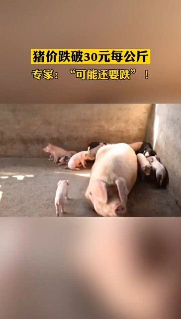 港澳新闻 第183页