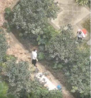 游戏专题 第130页