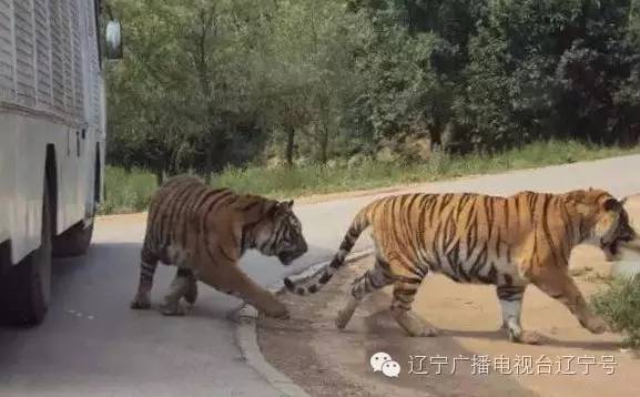 热点生活 第144页