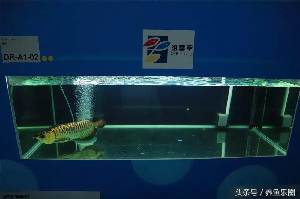 游戏专题 第137页