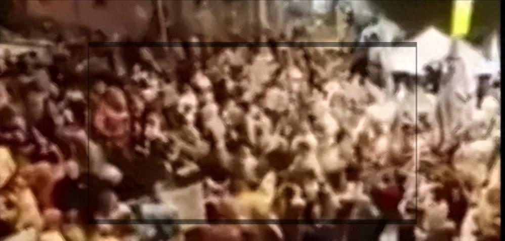 第1005页