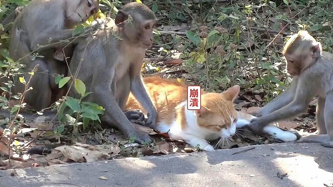 第869页