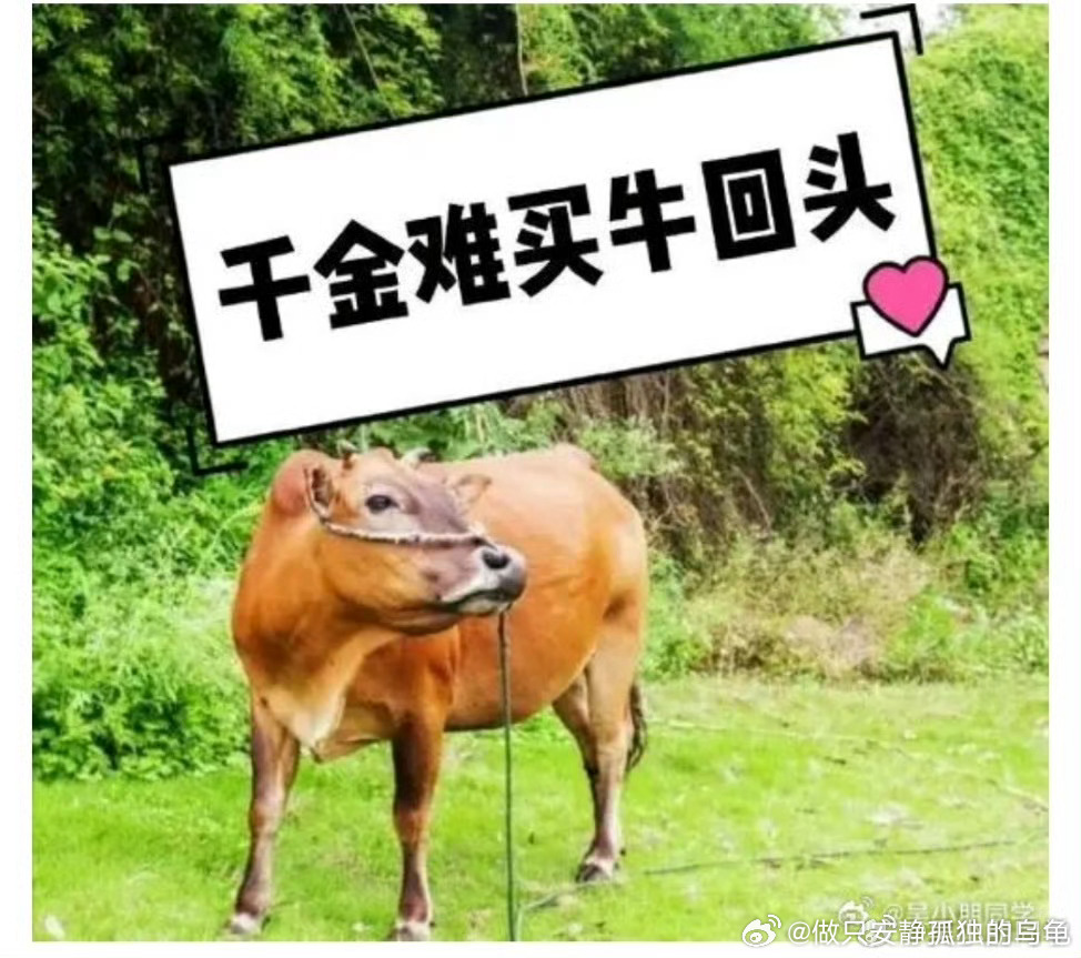 第831页